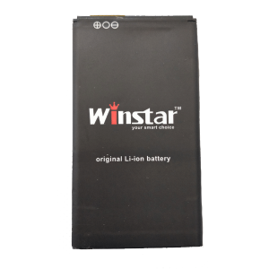 Winster Discovery 6 Battery
